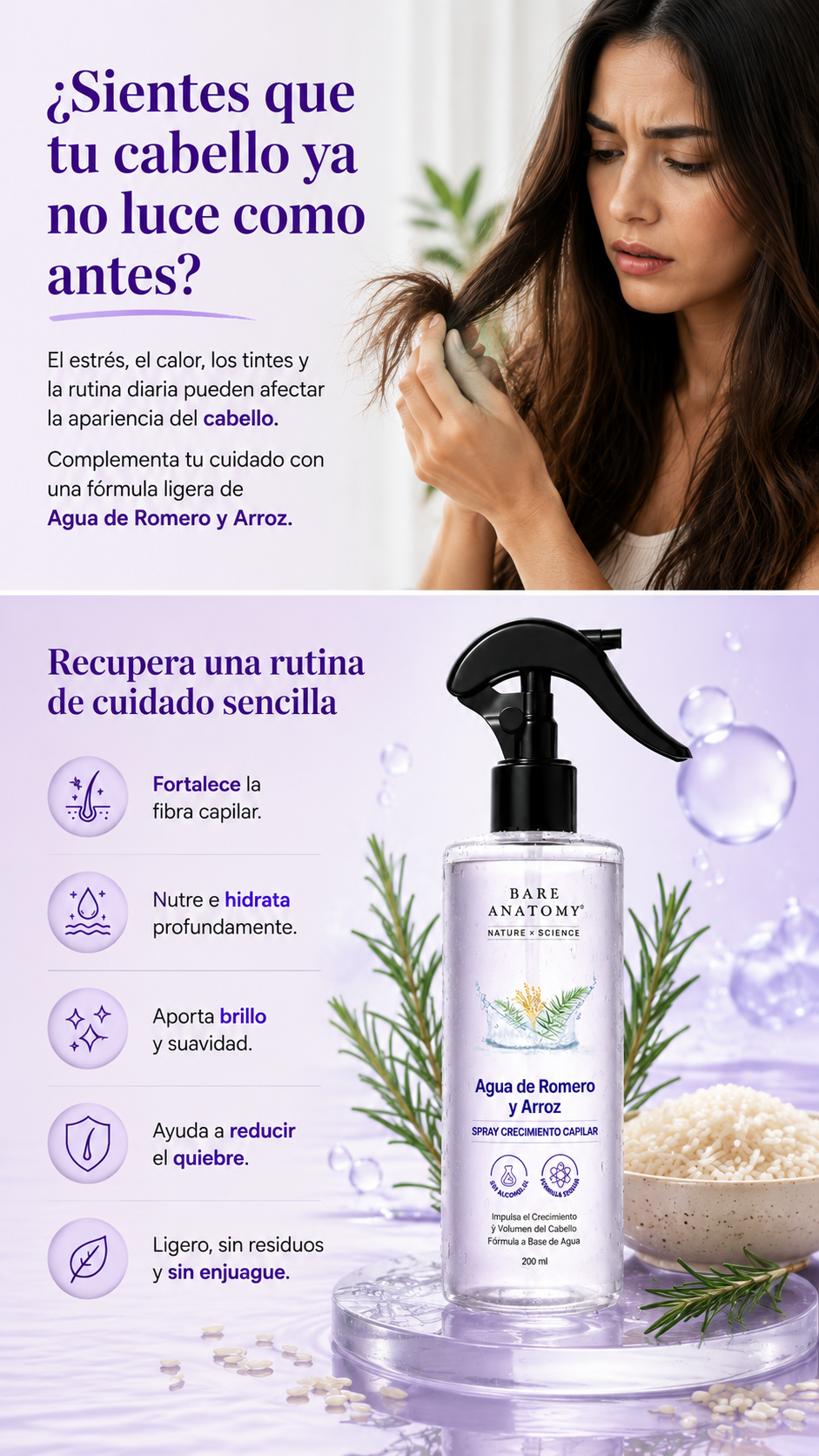 Bare Anatomy : Crecimiento capilar